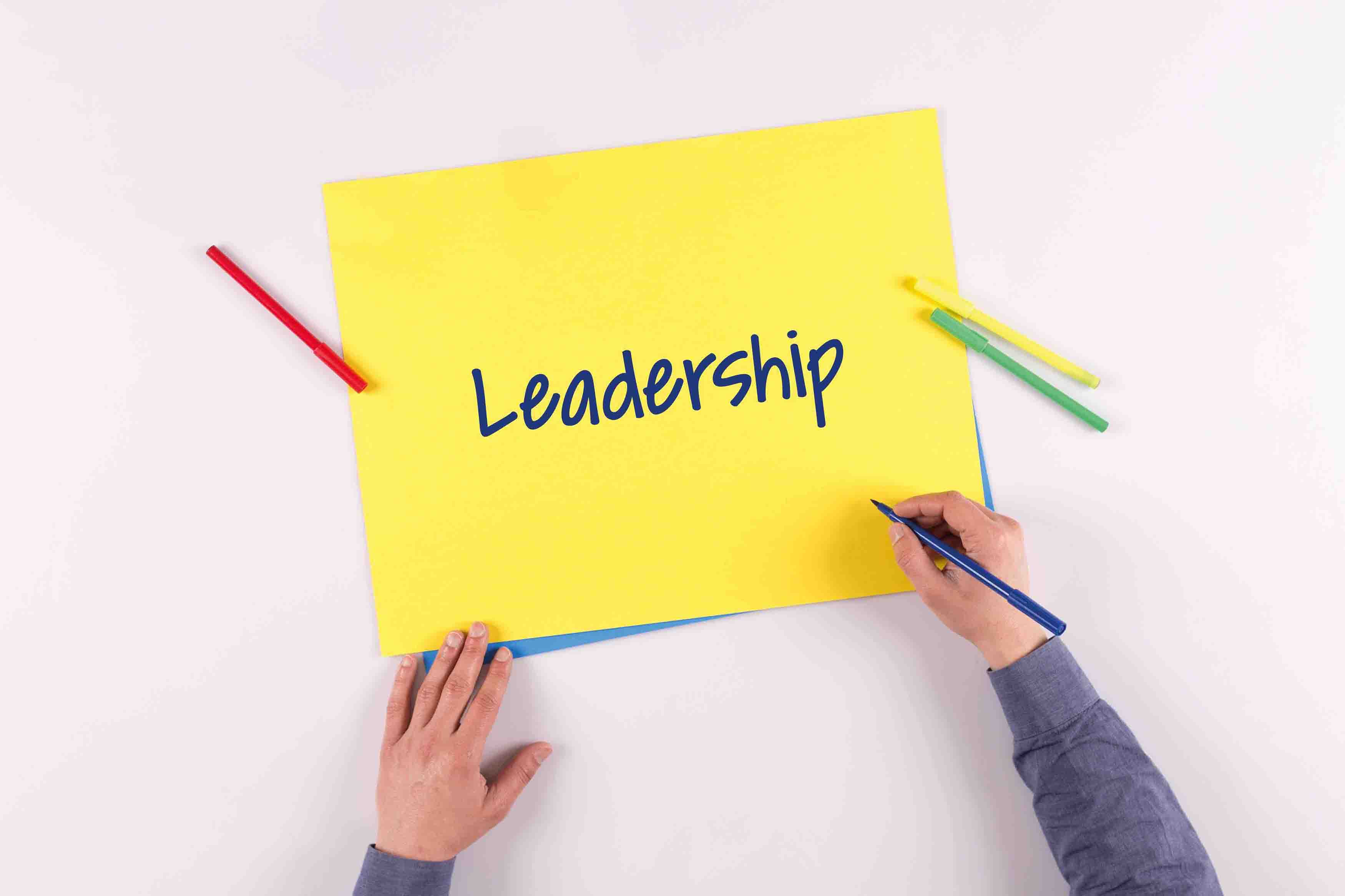 Healthcare Industry Leadership