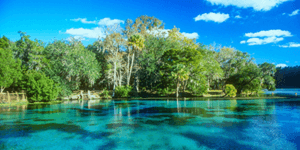 AchieveIt Customer Story Citrus County Florida