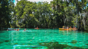 AchieveIt Customer Story Citrus County Florida